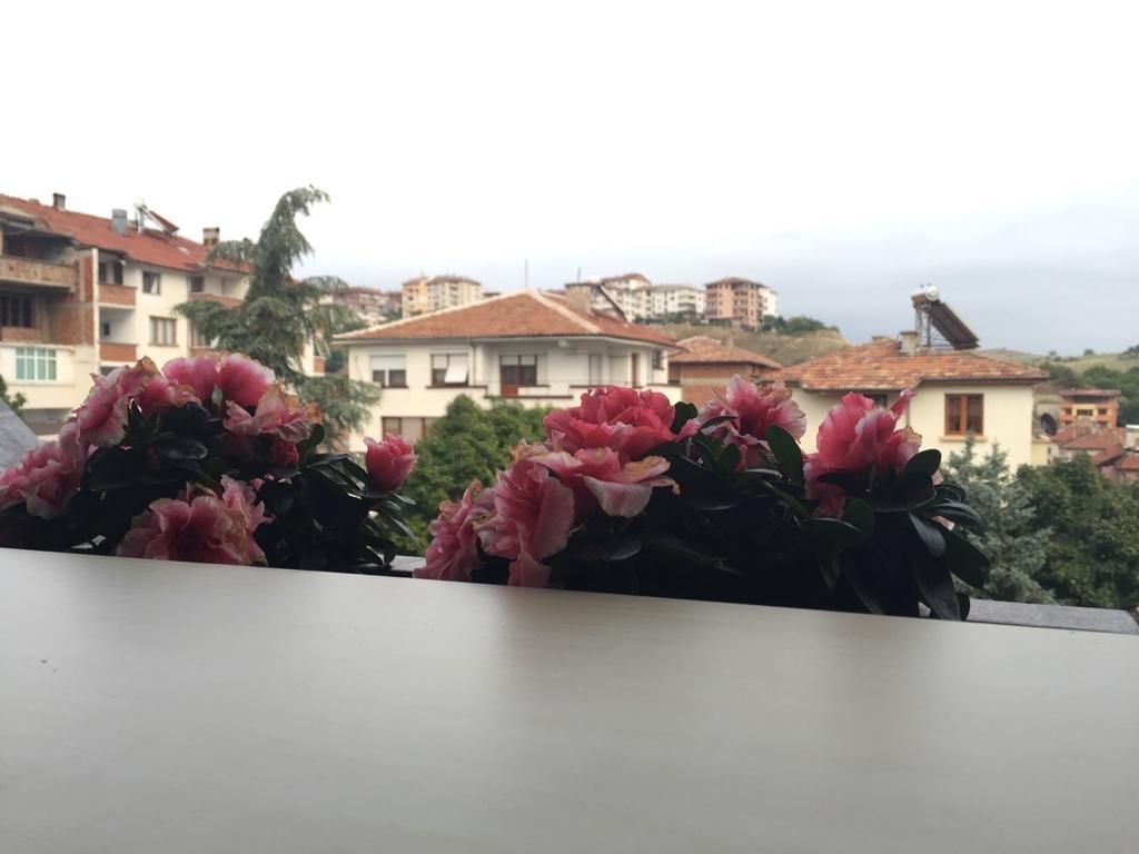 Bora Apartment Sandanski Rum bild